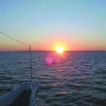 article image - 